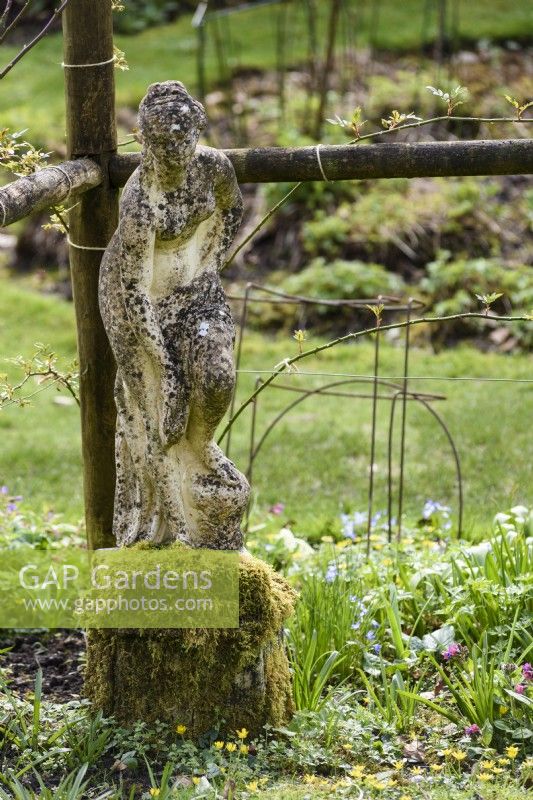 Stone classical figure, perhaps Venus, at Cerney House Gardens in March