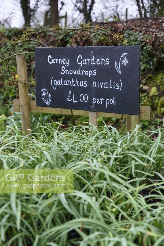 Slate sign in a plant sales area at Cerney House Gardens in March