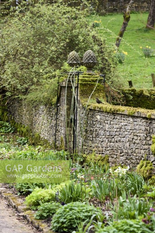 Stone wall with entrance way framed by gate posts topped with pineapple finials at Cerney House Gardens in March