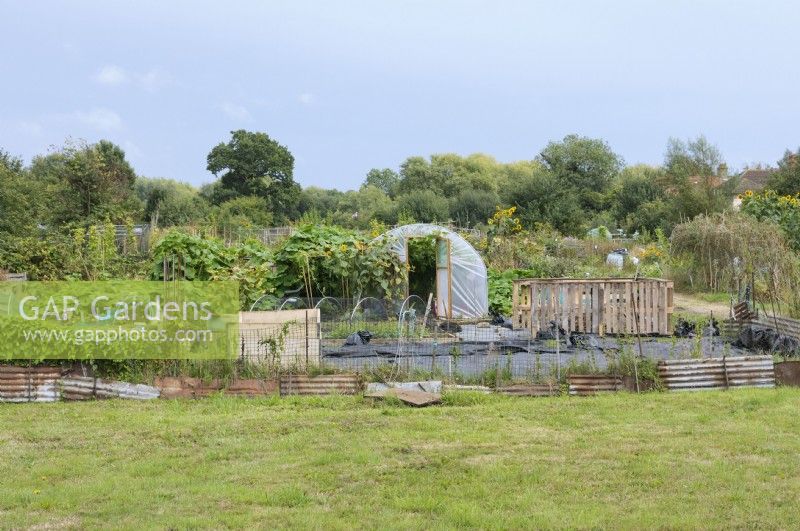 Polytunnel in an allotment, Oxford, UK