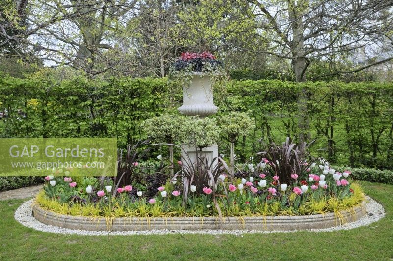 Urn with decorative layers of red, black and green foliage above lollipop trees underplanted with pink and white tulips and cordyline in a cylindrical flowerbed with concrete edging, Avenue Gardens, The Regent's Park, London, UK 