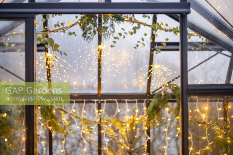 Fairy lights hanging from the top of the greenhouse