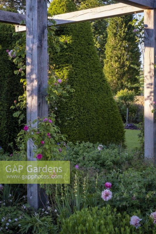 Parterre garden with Yew and Box topiary hedging, and a large wooden pergola