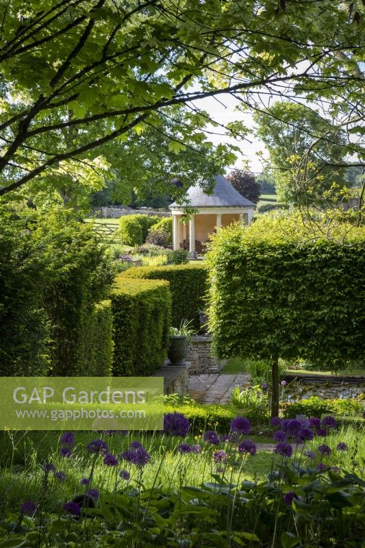 View across formal garden with clipped hedging and a summerhouse, with Allium 'Purple Sensation' in foreground.
