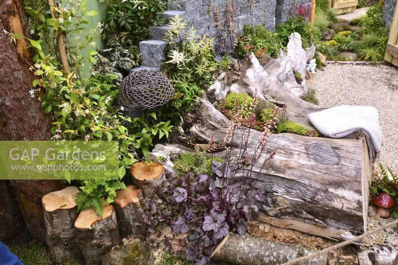 A woodland inspired border with utilized large logs serving as a seat, posts. Planted with Heuchera 'Licorice', Ajuga reptans, climbing of Trachelospermum jasminoides and Astilbe koreana. June
Designer: Mary Anne Farenden. Bord Bia Bloom, Super Garden, Dublin, Ireland.