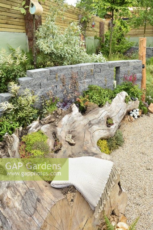 A woodland inspired border with utilized large logs serving as a seat, posts and decorative Connemara walling system.  Planted with Heuchera 'Licorice', Thymus, Astilbe koreana and Pyrus salicifolia. June


