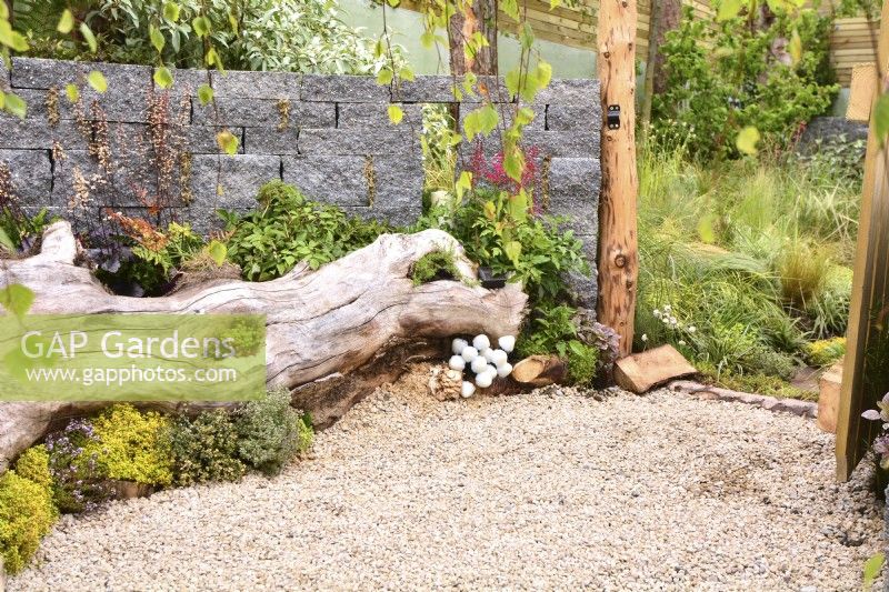A woodland inspired garden with large tree stump lying on a gravel surface used as a flowerbed and seating area next to a Connemara  wall system.  Planted with Thymus vulgaris, Heuchera 'Licorice', Astilbe koreana, fungi, sedum,  grasses. June
Designer: Mary Anne Farenden. Bord Bia Bloom, Super Garden, Dublin, Ireland.