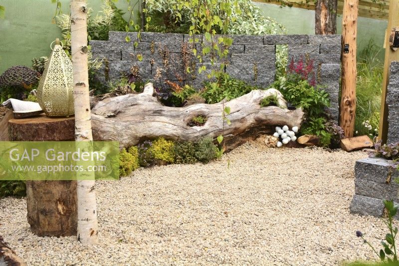 A large tree trunk lying on gravel, used as a seat and planted with perennials next to a Connemara decorative wall system. In foreground, Moroccan lamp in woodland inspired garden. Planted with Thymus vulgaris, Heuchera 'Licorice', Astilbe koreana, fungi, sedum, grasses. June
.


 
