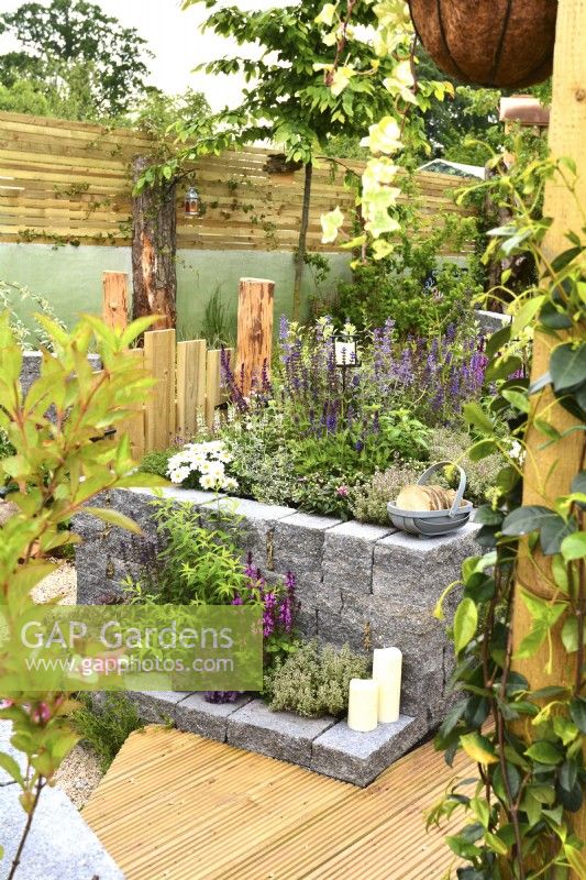 Raised bed  made of Connemara stone wall system in a woodland inspired garden surrounded by a wooden planks fence. Planted with  Astilbe, Gillenia trifoliata, Leucanthemum superbum, Salvia Nemorosa, Thymus vulgaris. June
  


