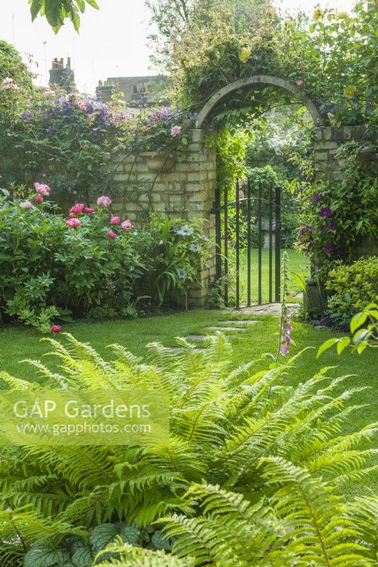 Garden gate in a brick wall clothed with roses and clematis. Stepping stones leading across a neatly mown lawn. Ferns in foreground. June.