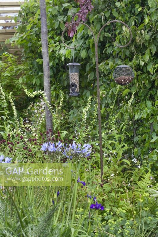 Bird feeding station amongst wildflowers in the 'Greener Pastures' garden at BBC Gardener's World Live 2015, June