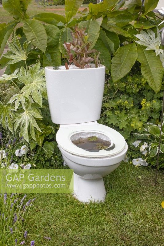 Toilet converted into a water feature in the 'Recycled and Reused' garden at BBC Gardener's World Live 2015, June