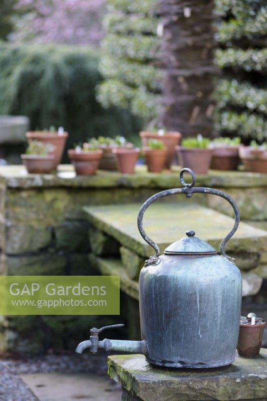 Metal kettle in a garden in February