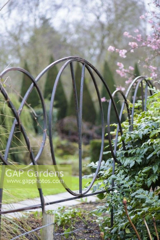 Metal plant supports for training climbers at York Gate Garden in February