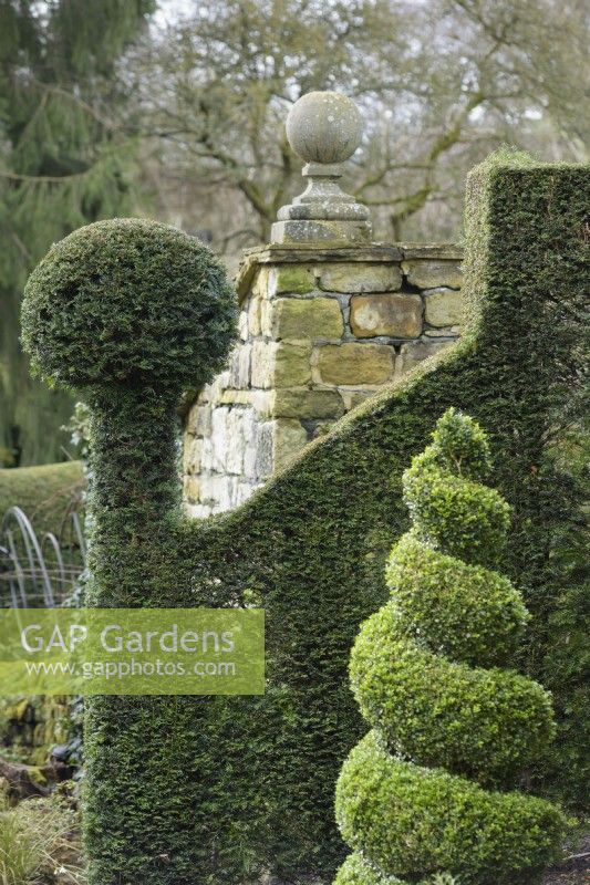 Clipped evergreens at York Gate Garden in February