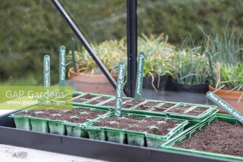 Various labelled seed trays on a table inside a greenhouse