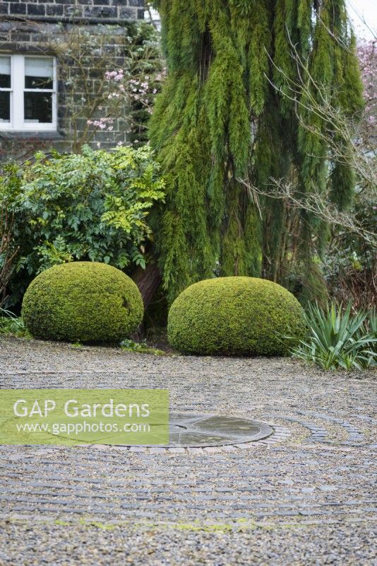 Pavement maze surrounded by evergreens including clipped yew at York Gate Garden in February
