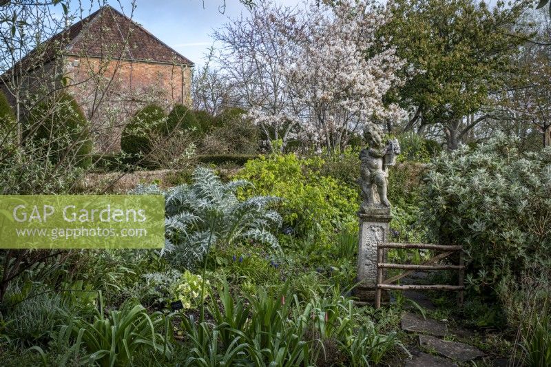 A statue is a focal point in the spring cottage garden at East Lambrook Manor, with an Amelanchier lamarckii behind