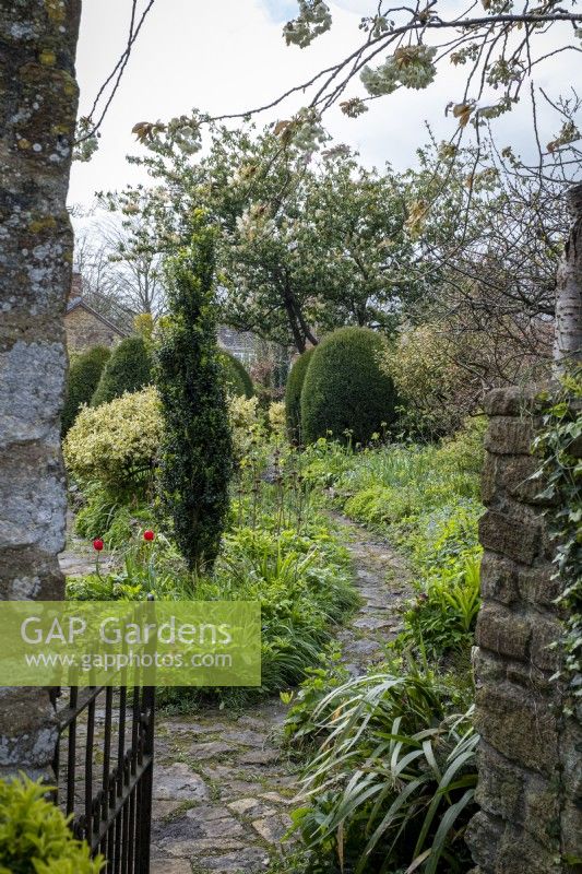 View through a metal gate in to a cottage garden in early spring, with paved path leading away