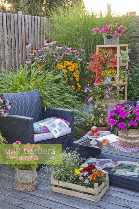 Summer terrace with containers with bedding flowers and garden furniture.