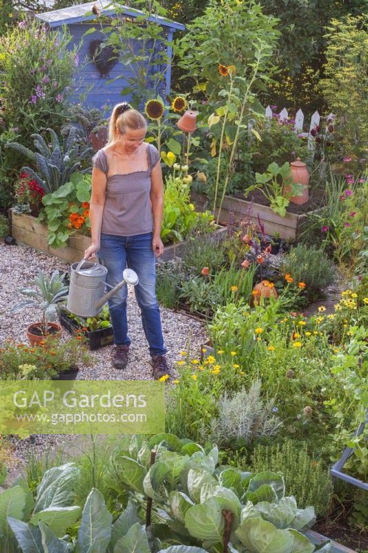 Woman with a watering can in the kitchen garden.