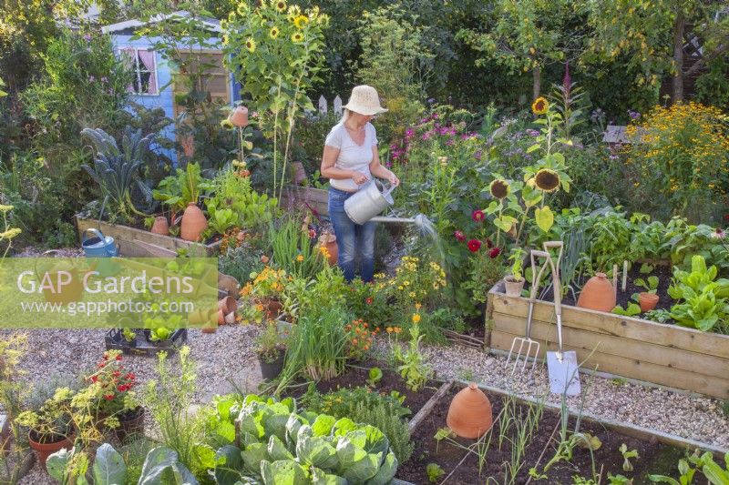 A woman is watering in the kitchen garden.