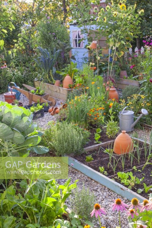 Raised beds in the kitchen garden full of growing vegetables, and along the edges are many flowers to attract beneficial wildlife.