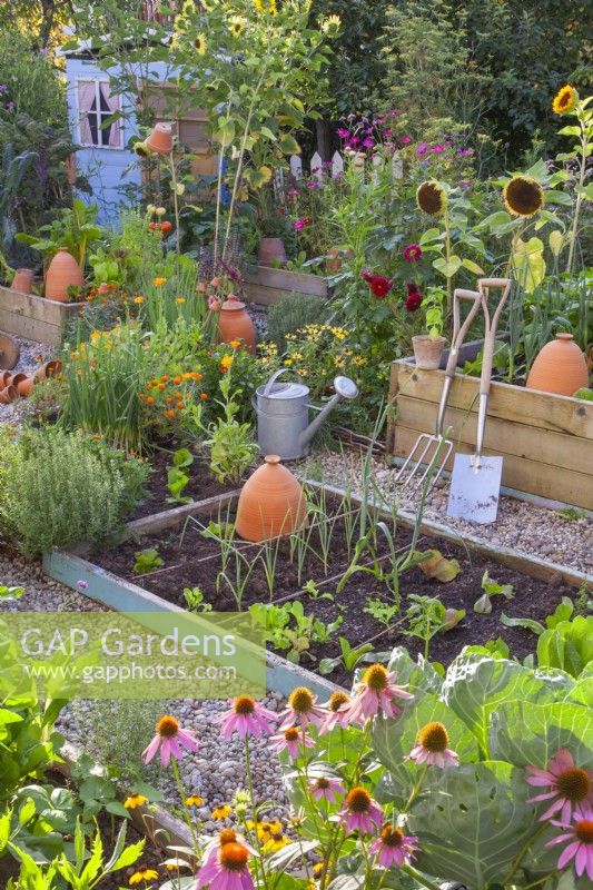Raised beds in the kitchen garden full of growing vegetables, and along the edges are many flowers to attract beneficial wildlife.