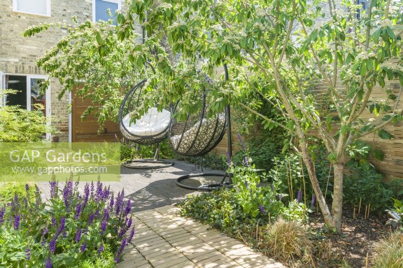 Pair of hanging outdoor garden chairs in a small sun-filled city garden with dappled shade provided by multi-stemmed cotoneaster trees. June.