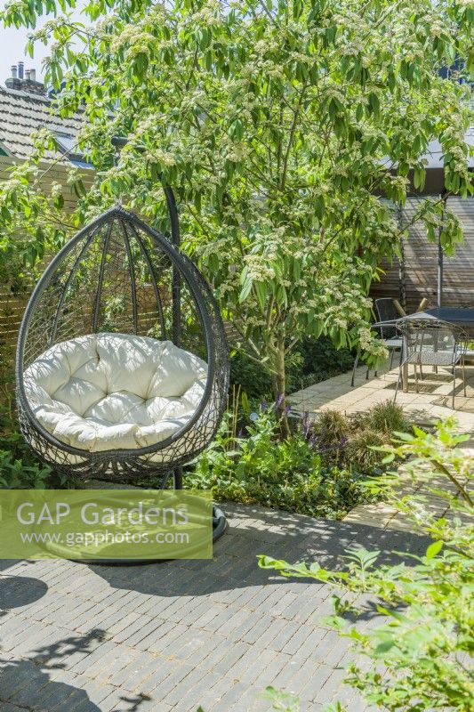 A hanging outdoor garden chair in a small sun-filled city garden with dappled shade provided by multi-stemmed cotoneaster tree. June.