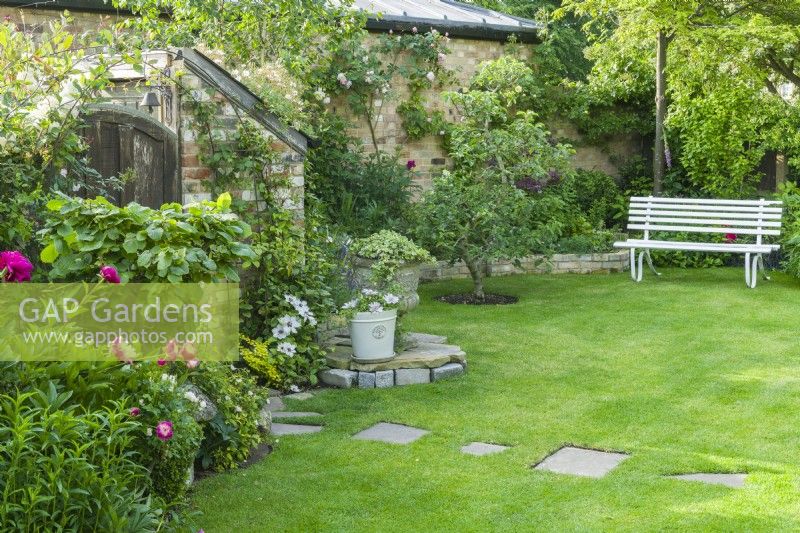 View of the corner of a secluded walled town garden with white painted garden bench on a lawn with stepping stones leading to rustic wooden gate and storage shed. Informal beds with peonies, clematis and climbing roses trained on the walls. June.