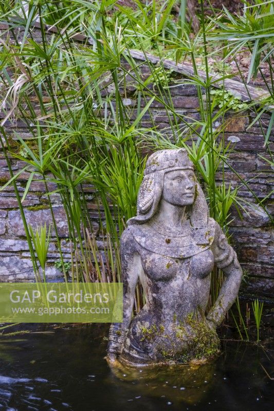 Egyptian statue of Cleopatra in quiet pond with Papyrus water plants
