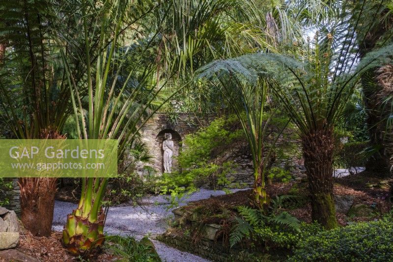 View into semi tropical 'secret' garden with Tree Ferns and palms, classical statue set in to stone wall