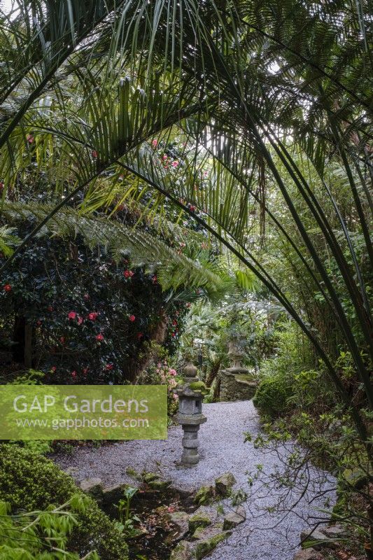 Japanese stone lantern in hidden garden beneath palms
