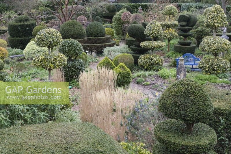 The Topiary Garden. Clipped Yew and Holly in different shapes. April. Spring. 