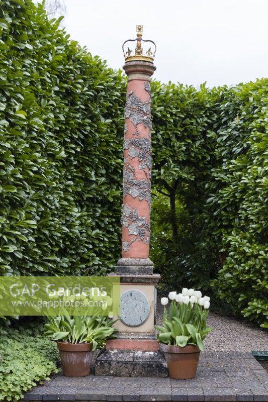 The Elizabeth I and II crowned column backed by Laurel hedge.  Terracotta pots planted with Tulipa 'Virgin Queen'. April. Spring. 