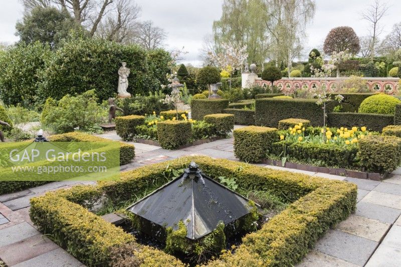 View across the Howdah Garden with low clipped hedges of Box with Box cubes on the corners of flower beds. April. Spring