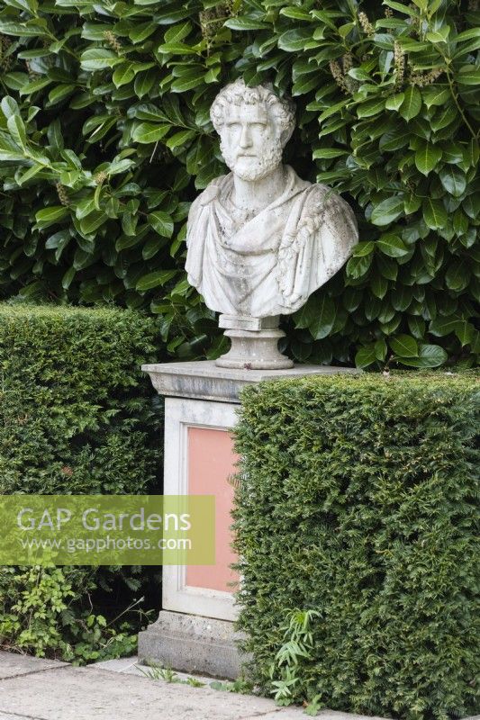 Bust on plinth with hedge of Laurel behind and clipped hedge of Yew by the Colonnade Court. April. Spring. 