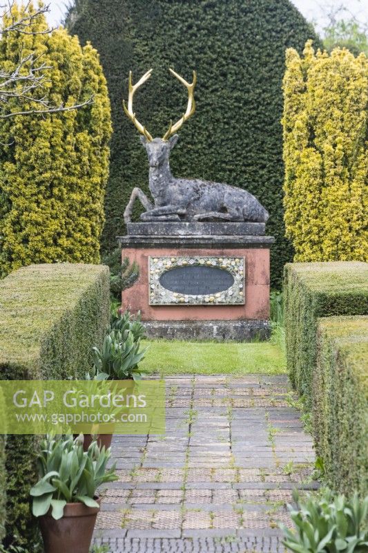 The Stag on pedestal with Golden Yew and Yew hedges. April. Spring. 
