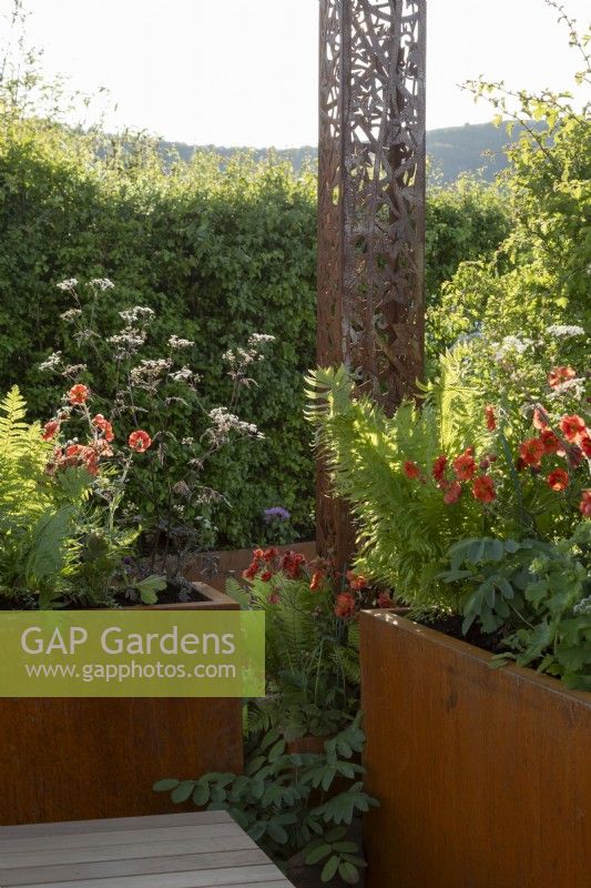 Corten steel planters and ornamental structure with planting combination including Geum 'Scarlet Tempest' and Anthriscus sylvestris 'Ravenswing'. Corten products by Weather It.