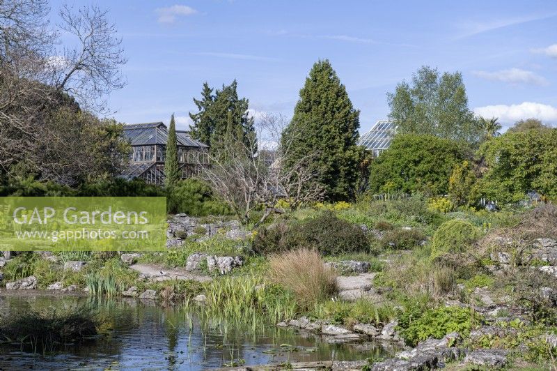 Cambridge Botanical gardens England UK. 
General Views. Pond and rockery