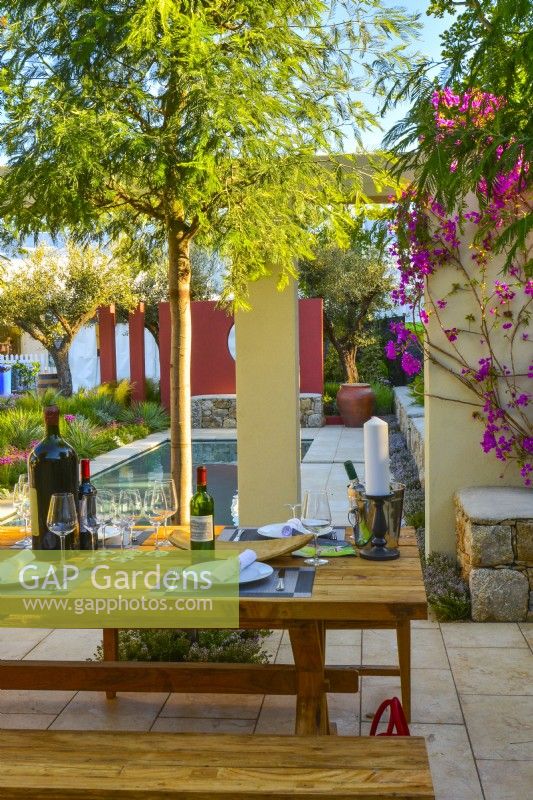 Wooden table and bench with Acacia  in patio overlooking pool in the Mediterranean garden.  June
Designer: Alan Rudden
