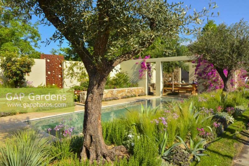 View across Mediterranean garden with large pool. June
Designer: Alan Rudden
