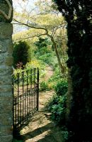 Arch with metal work gate opening into garden at East Lambrook Manor in Somerset