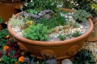 Large terracotta pot from Whichford Pottery with alpine planting 