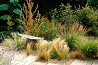 Dry gravel garden with Foeniculum - fennel, Atriplex - Orache, grasses and wooden bench at Thursley Lodge in Surrey