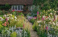 Cottage garden with Rosa 'Penelope' and Papaver 'Turkish Delight', gravel path leading to house entrance at Frith Lodge in Sussex