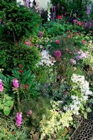 Mixed herbaceous border in pink and purple colours