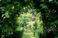 Tilia - Lime covered arch with view to country garden. Alan Titchmarsh's garden in Hampshire