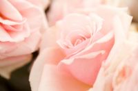 Rosa Savoy Hotel 'Harvintage' - Closeup of pink flowers